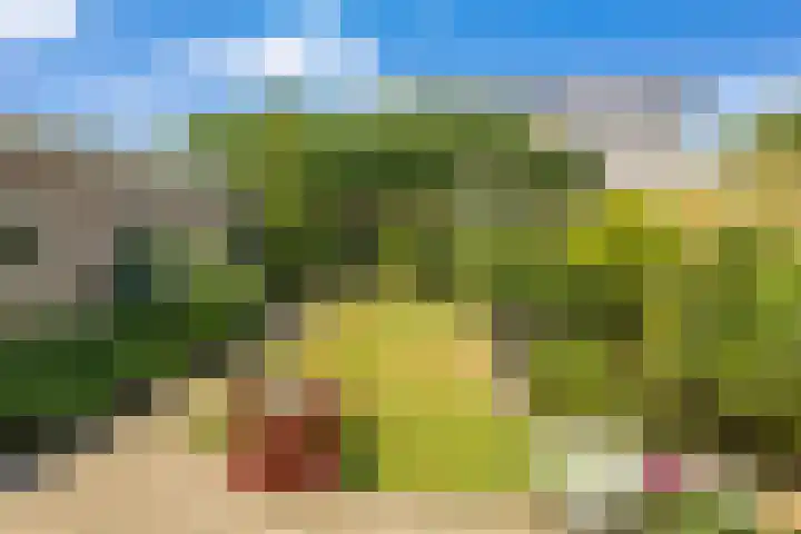 Mentanalaan 7 Oudenbosch thumbnail 20
