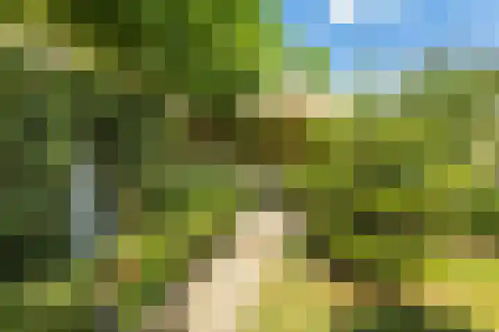 Mentanalaan 7 Oudenbosch thumbnail 21