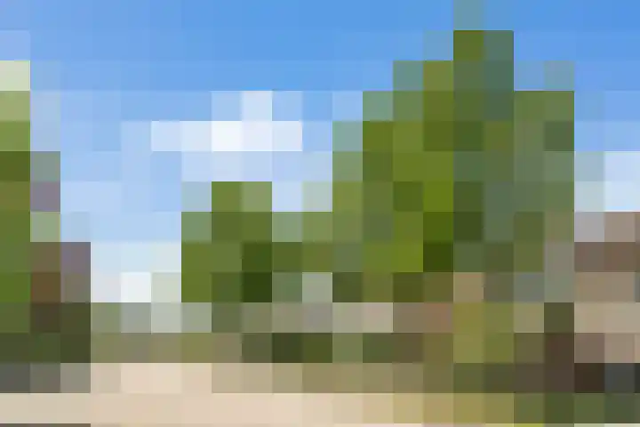 Mentanalaan 7 Oudenbosch thumbnail 24