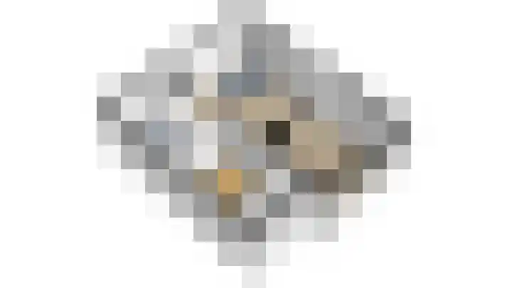 Mentanalaan 7 Oudenbosch thumbnail 30