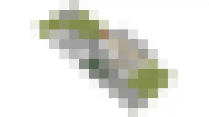 Mentanalaan 7 Oudenbosch thumbnail 33