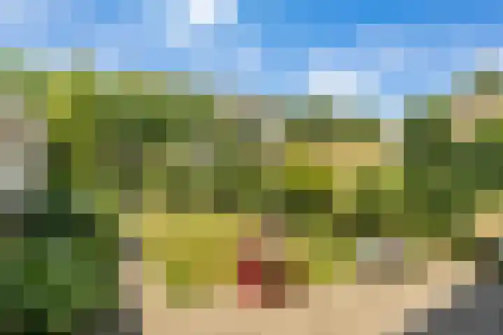 Mentanalaan 7 Oudenbosch thumbnail 4