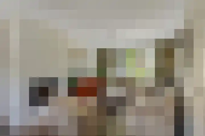 Mentanalaan 7 Oudenbosch thumbnail 7