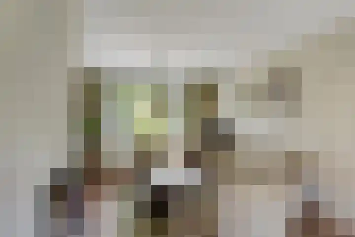 Mentanalaan 7 Oudenbosch thumbnail 8
