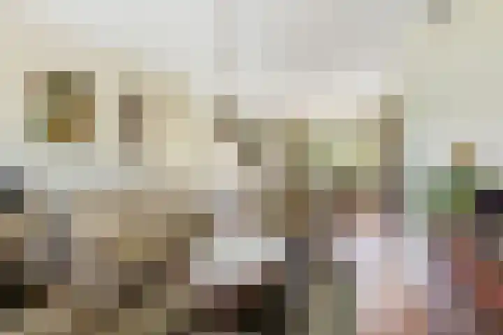 Mentanalaan 7 Oudenbosch thumbnail 9