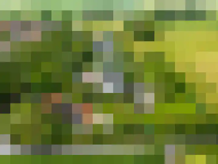 Mentaweg 1 in Feerwerd