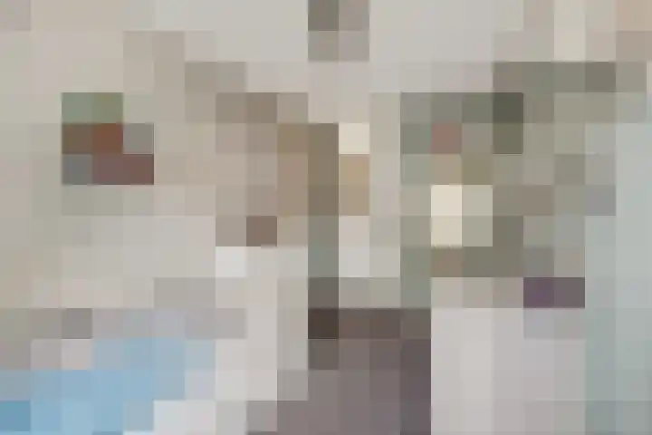 Mentaweg 1 Feerwerd