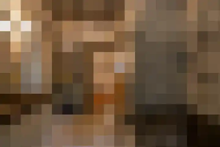 Mentaweg 1 Feerwerd thumbnail 18