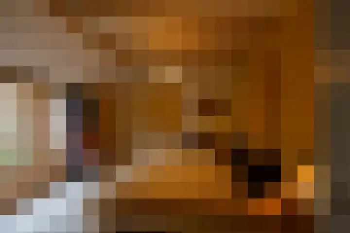 Mentaweg 1 Feerwerd thumbnail 19