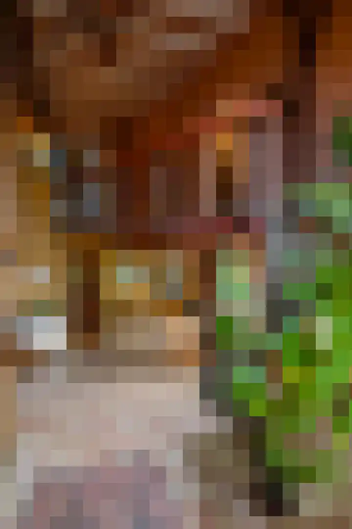 Mentaweg 1 Feerwerd thumbnail 24