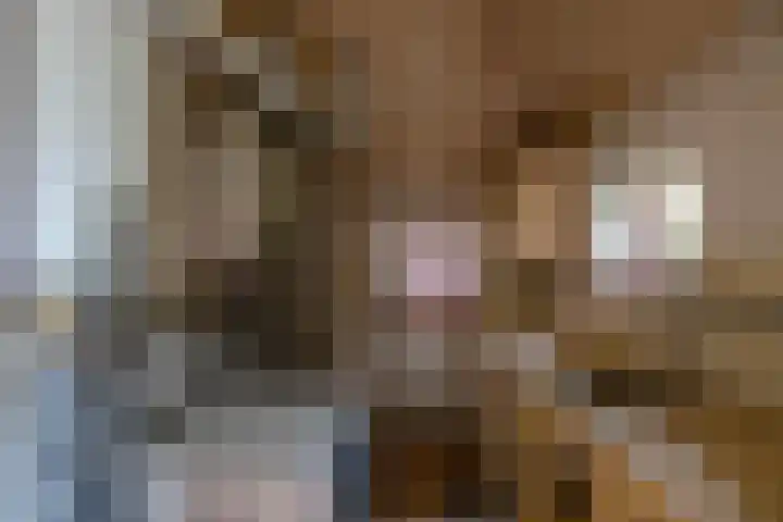 Mentaweg 1 Feerwerd thumbnail 26