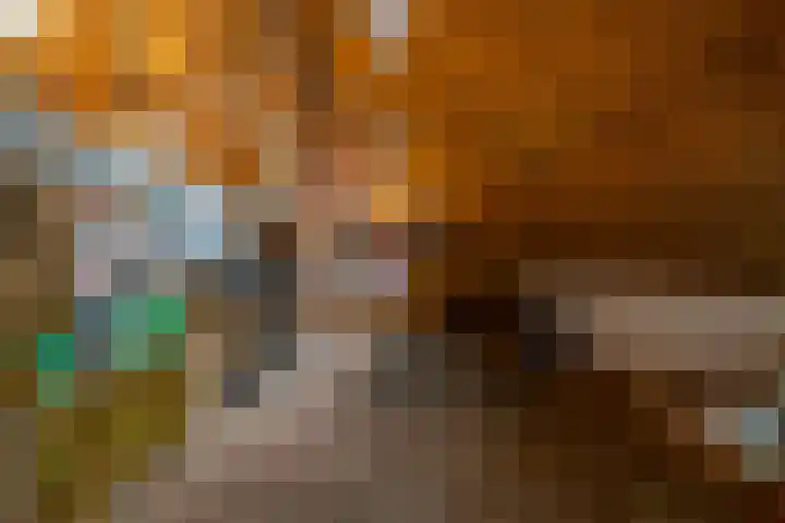 Mentaweg 1 Feerwerd thumbnail 28