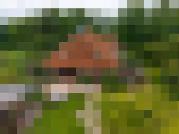 Mentaweg 1 Feerwerd foto 3