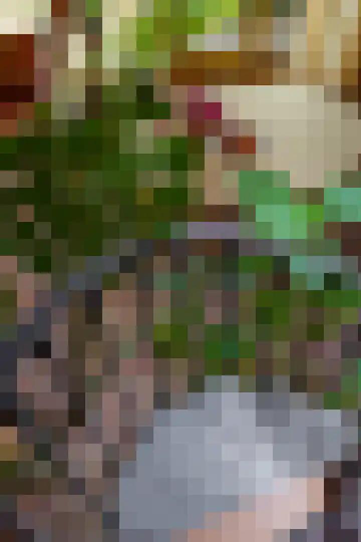 Mentaweg 1 Feerwerd thumbnail 31