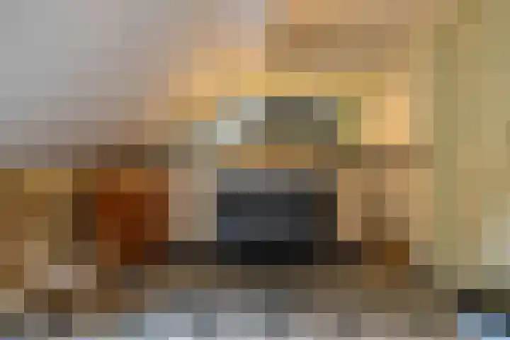 Mentaweg 1 Feerwerd thumbnail 36