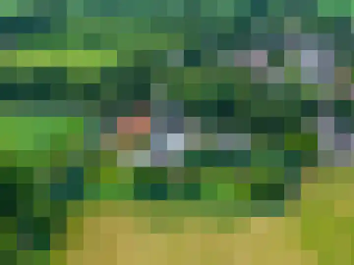 Mentaweg 1 Feerwerd thumbnail 40