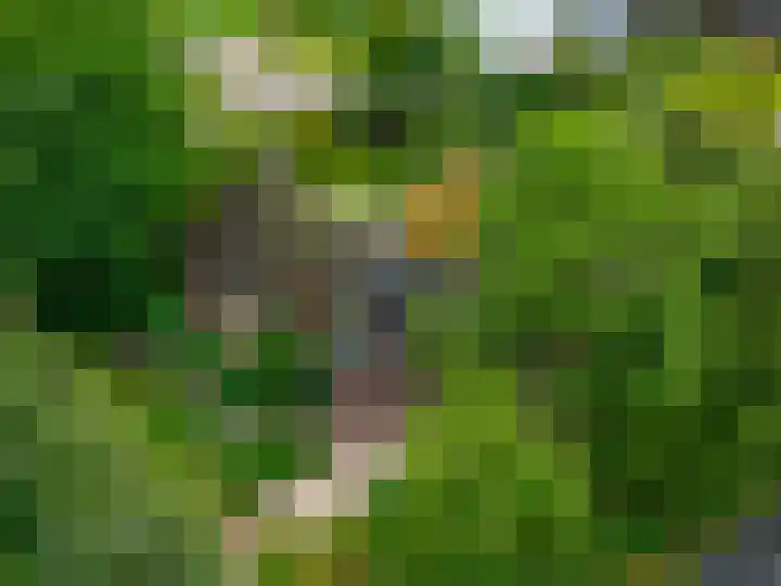 Mentaweg 1 Feerwerd thumbnail 41