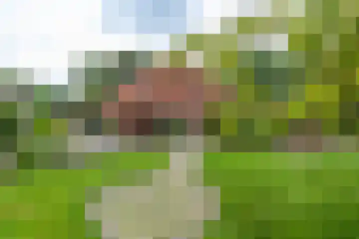 Mentaweg 1 Feerwerd thumbnail 42