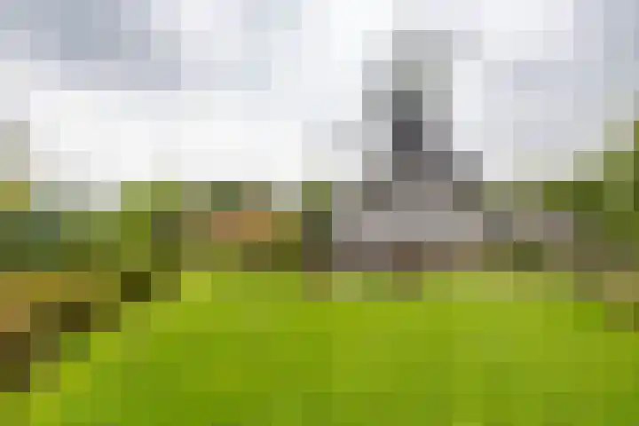 Mentaweg 1 Feerwerd thumbnail 43