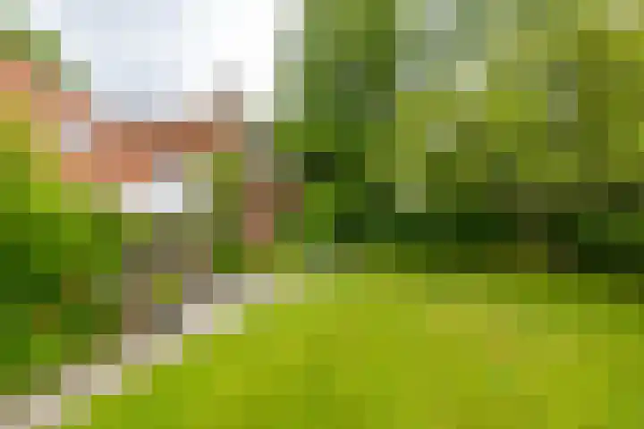 Mentaweg 1 Feerwerd thumbnail 44