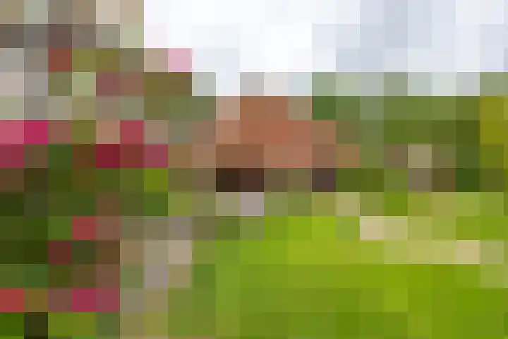 Mentaweg 1 Feerwerd thumbnail 45