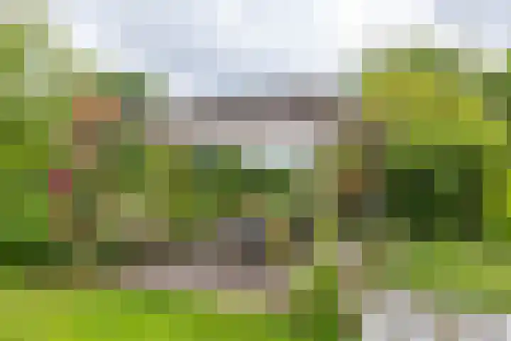 Mentaweg 1 Feerwerd thumbnail 46