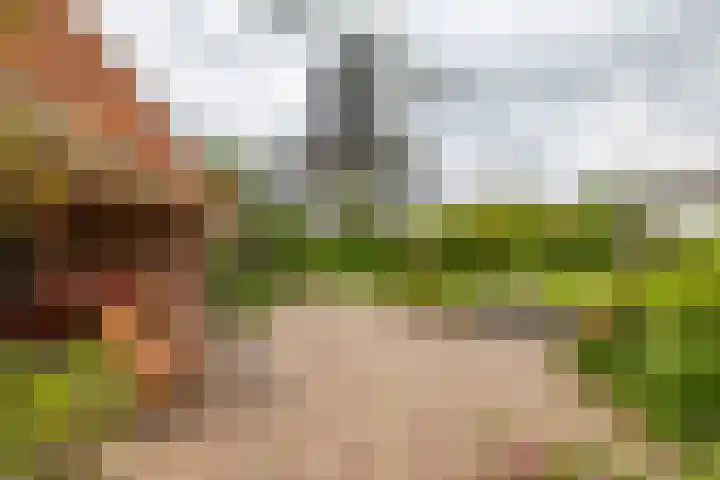 Mentaweg 1 Feerwerd thumbnail 47