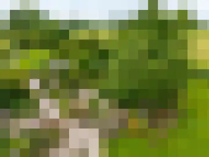 Mentaweg 1 Feerwerd thumbnail 48