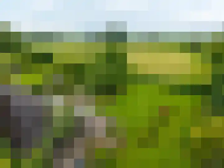 Mentaweg 1 Feerwerd thumbnail 49