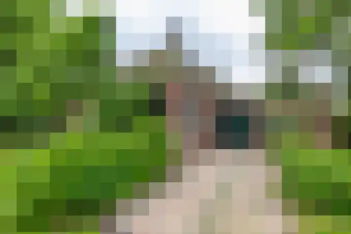 Mentaweg 1 Feerwerd thumbnail 5