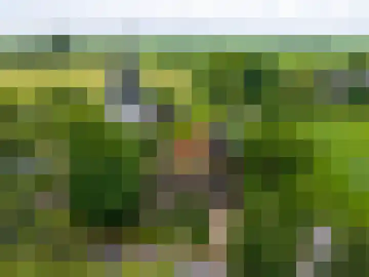 Mentaweg 1 Feerwerd thumbnail 50