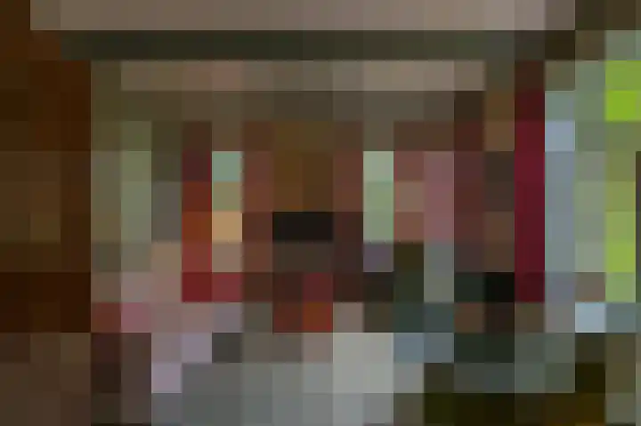 Mentaweg 1 Feerwerd thumbnail 9