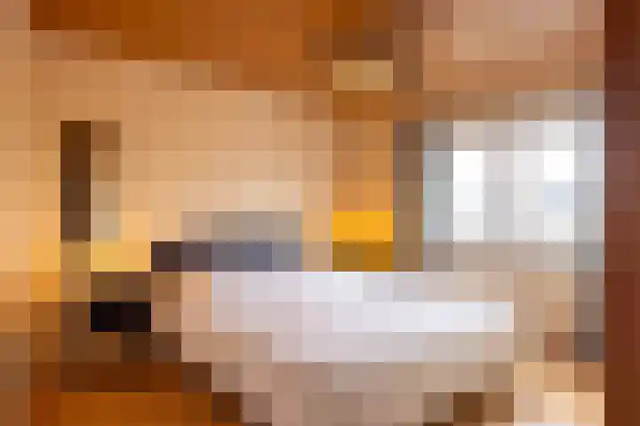 Mentenlaan 19 Landgraaf thumbnail 21