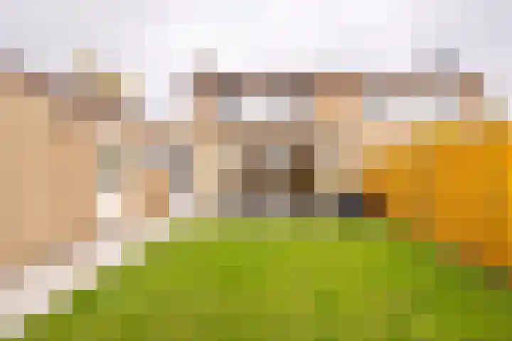 Mentenlaan 19 Landgraaf thumbnail 24