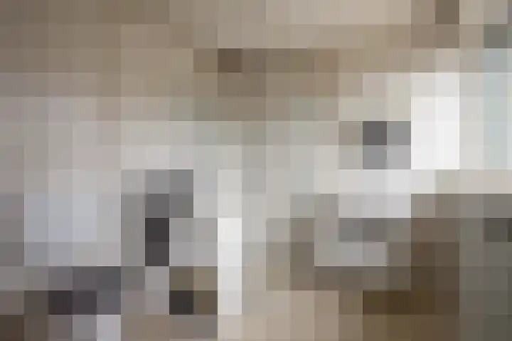 Mentenlaan 9 Landgraaf thumbnail 11
