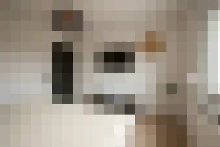 Mentenlaan 9 Landgraaf thumbnail 14