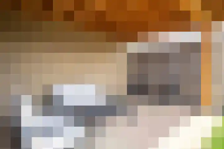 Mentenlaan 9 Landgraaf thumbnail 20