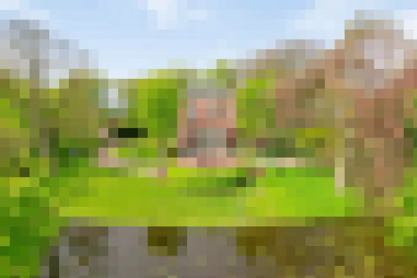Menthedalaan 5 Middelstum