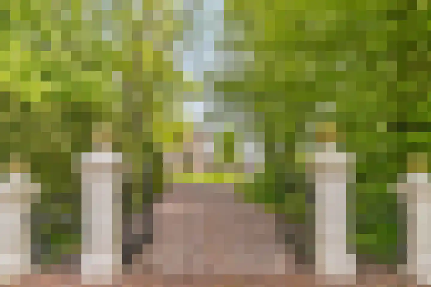 Menthedalaan 5 Middelstum thumbnail 14