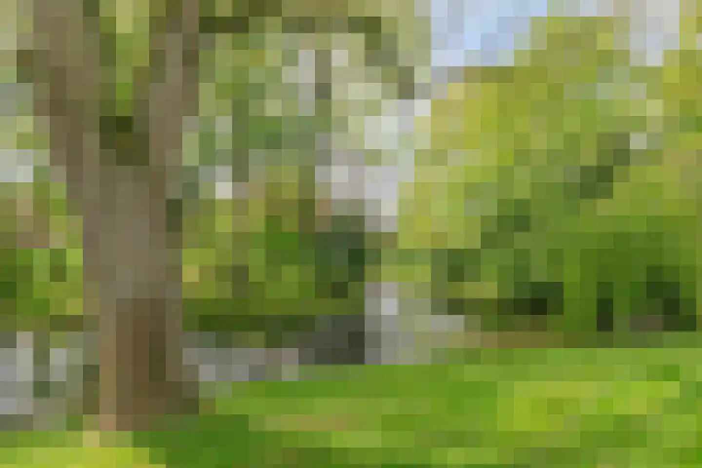Menthedalaan 5 Middelstum thumbnail 18