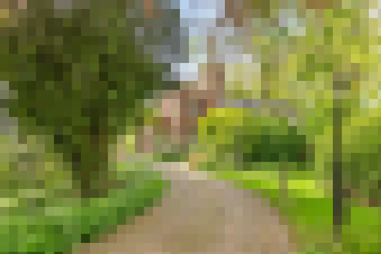 Menthedalaan 5 Middelstum thumbnail 19