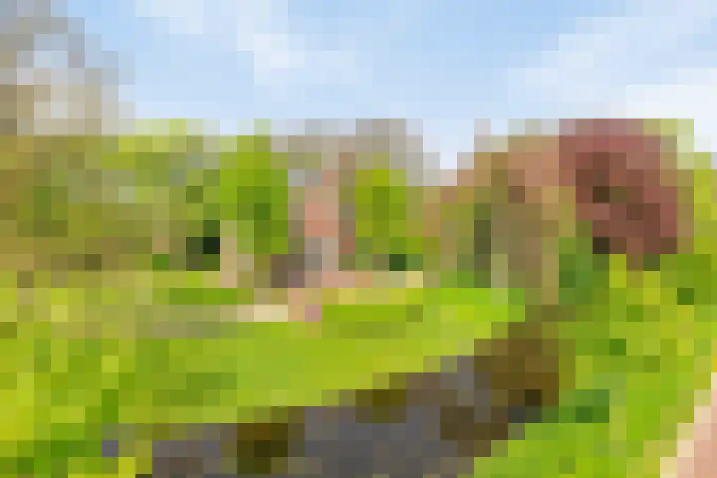 Menthedalaan 5 Middelstum thumbnail 26