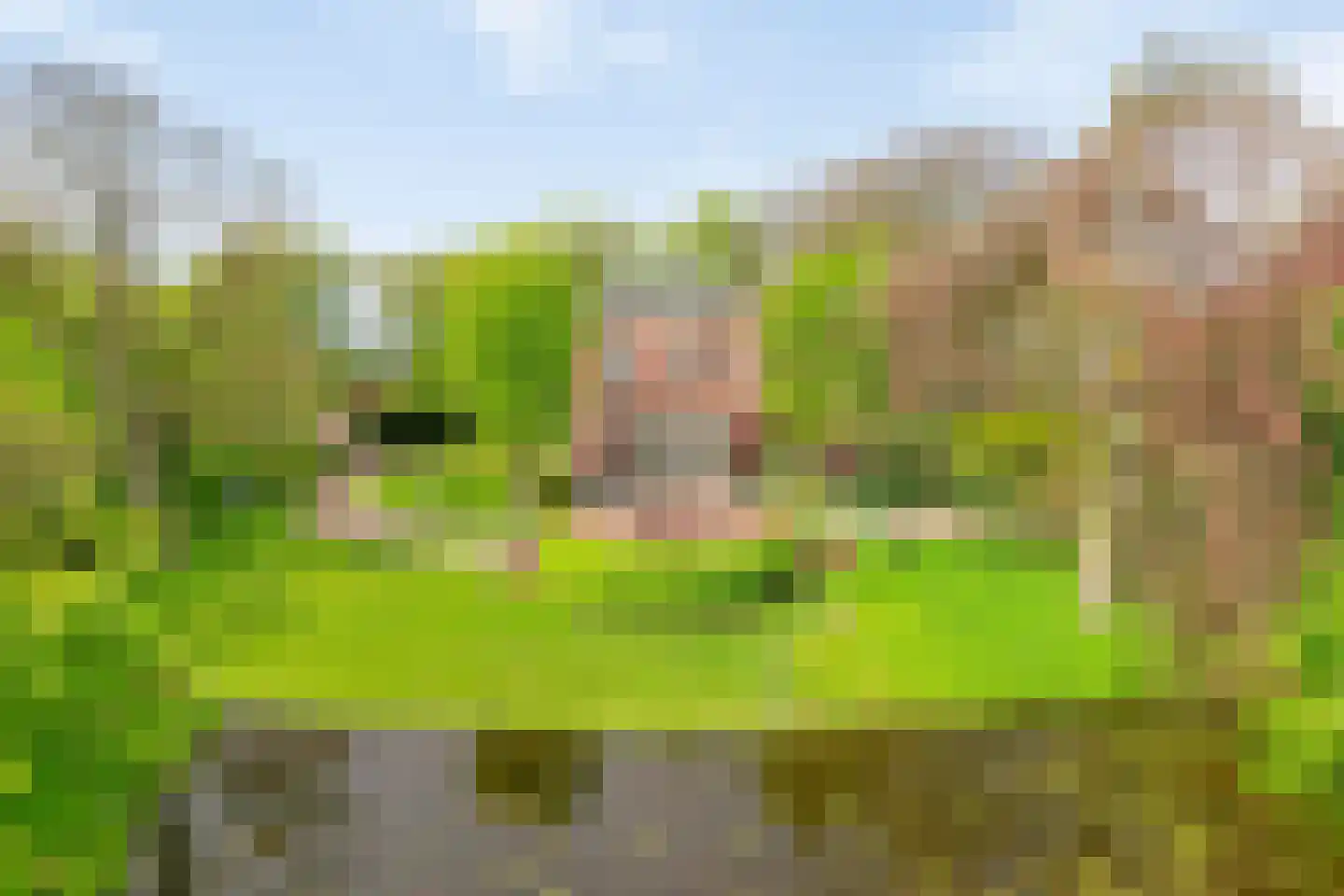 Menthedalaan 5 Middelstum thumbnail 27
