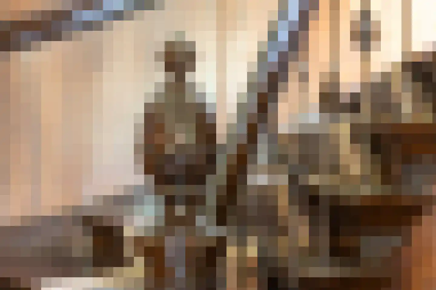 Menthedalaan 5 Middelstum foto 3
