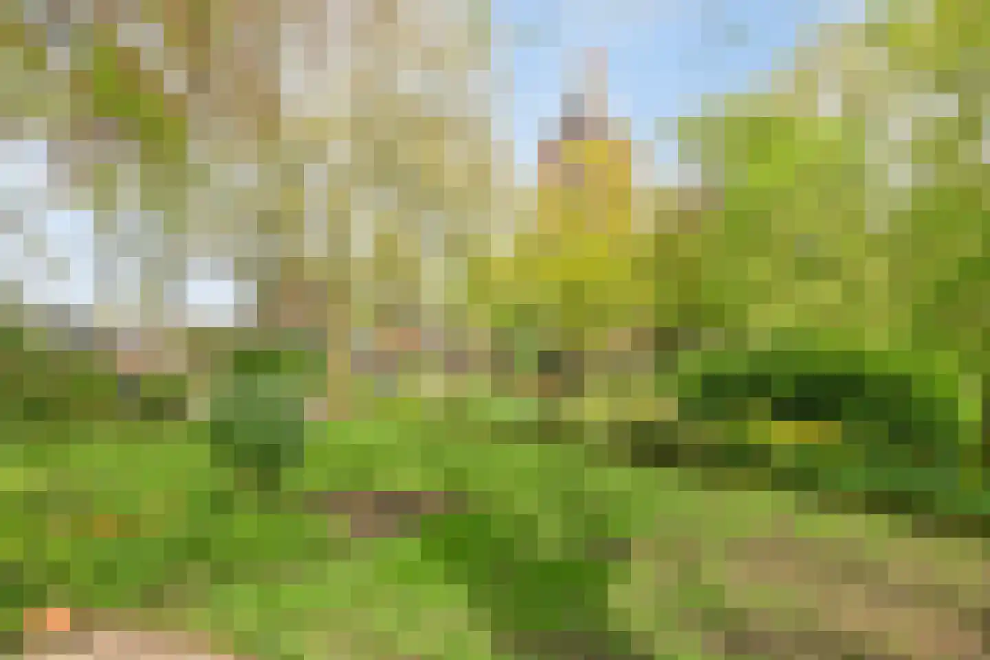 Menthedalaan 5 Middelstum thumbnail 31