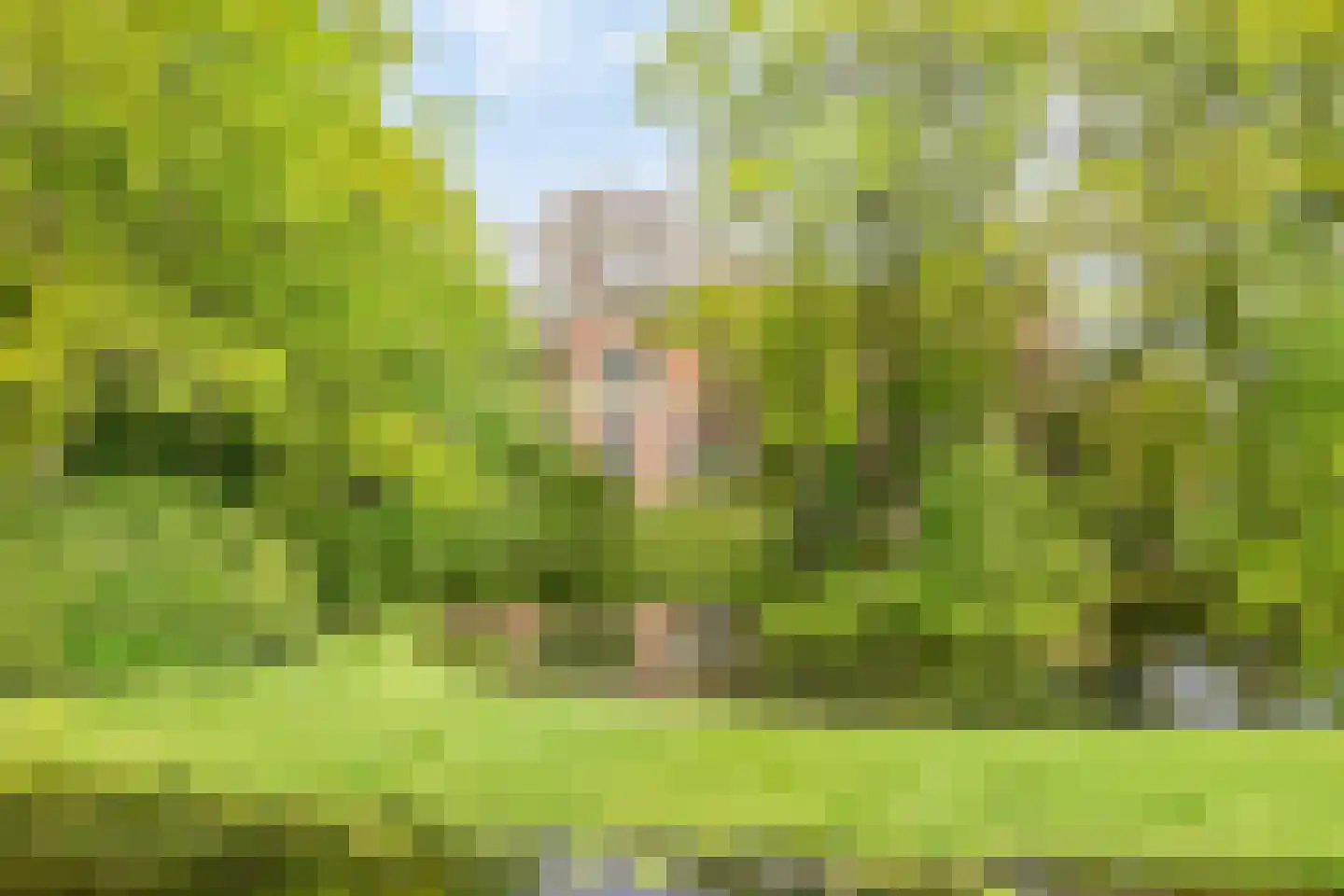 Menthedalaan 5 Middelstum thumbnail 32