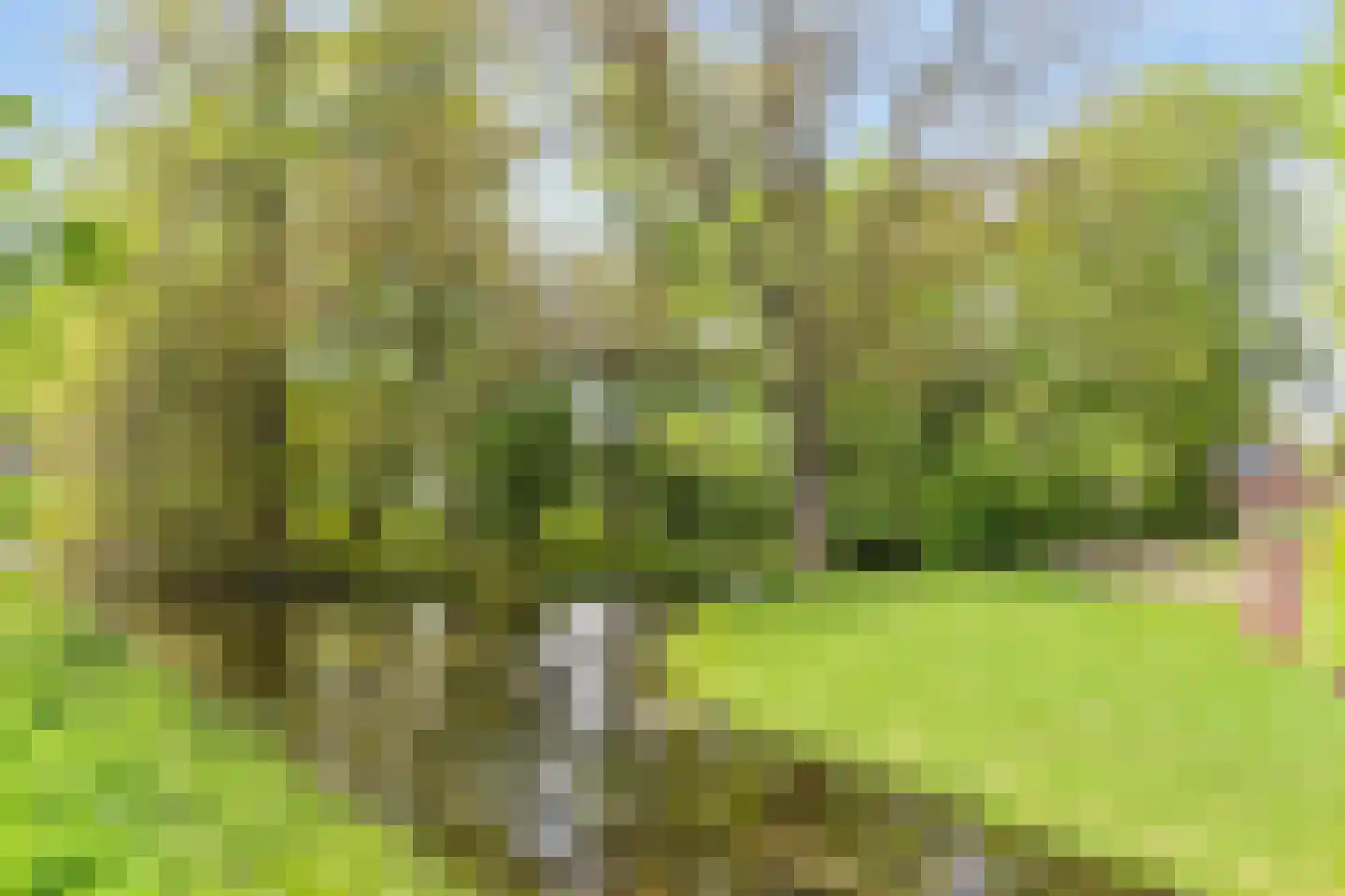 Menthedalaan 5 Middelstum thumbnail 34