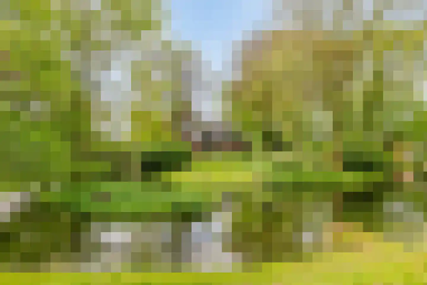 Menthedalaan 5 Middelstum thumbnail 35