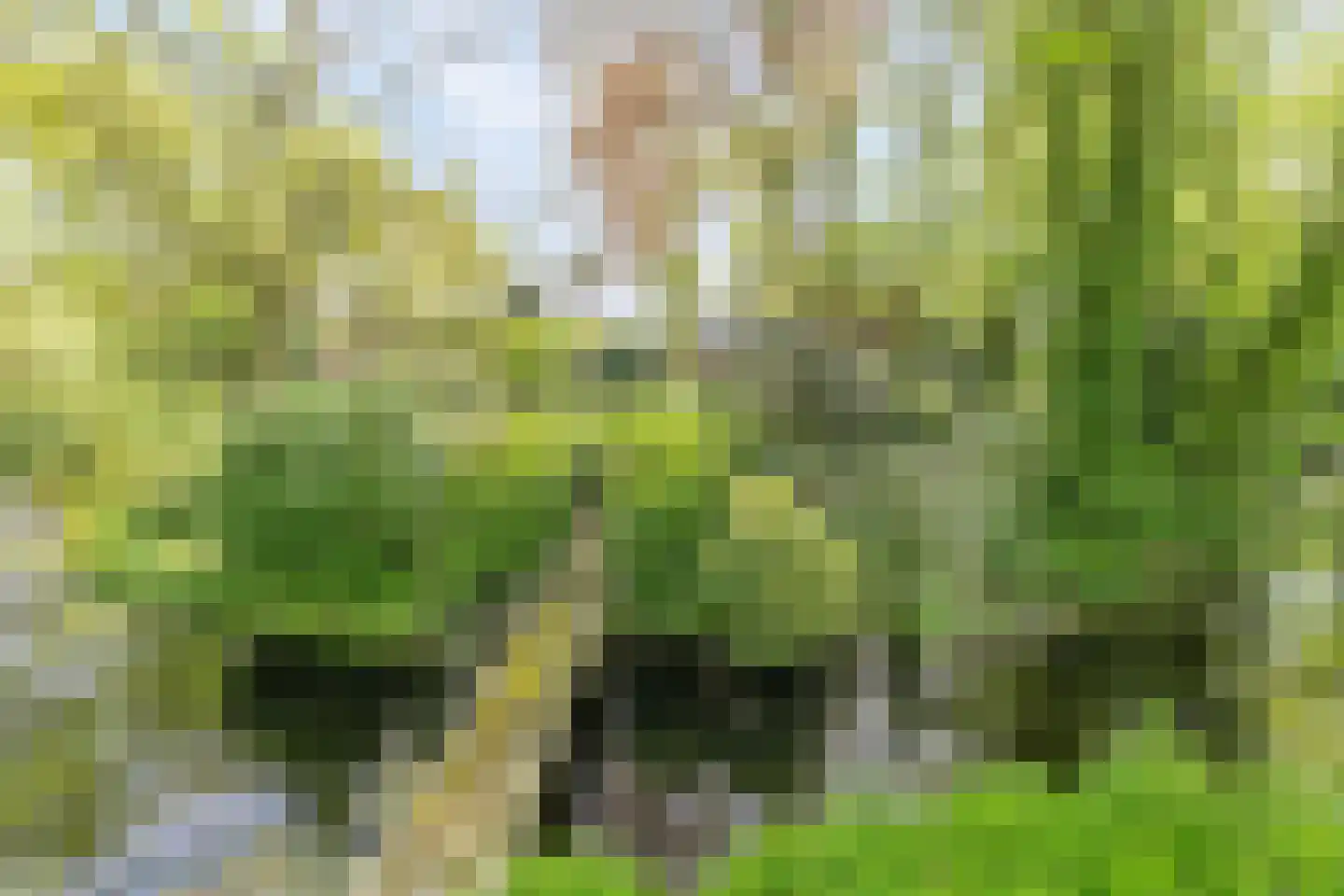 Menthedalaan 5 Middelstum thumbnail 36