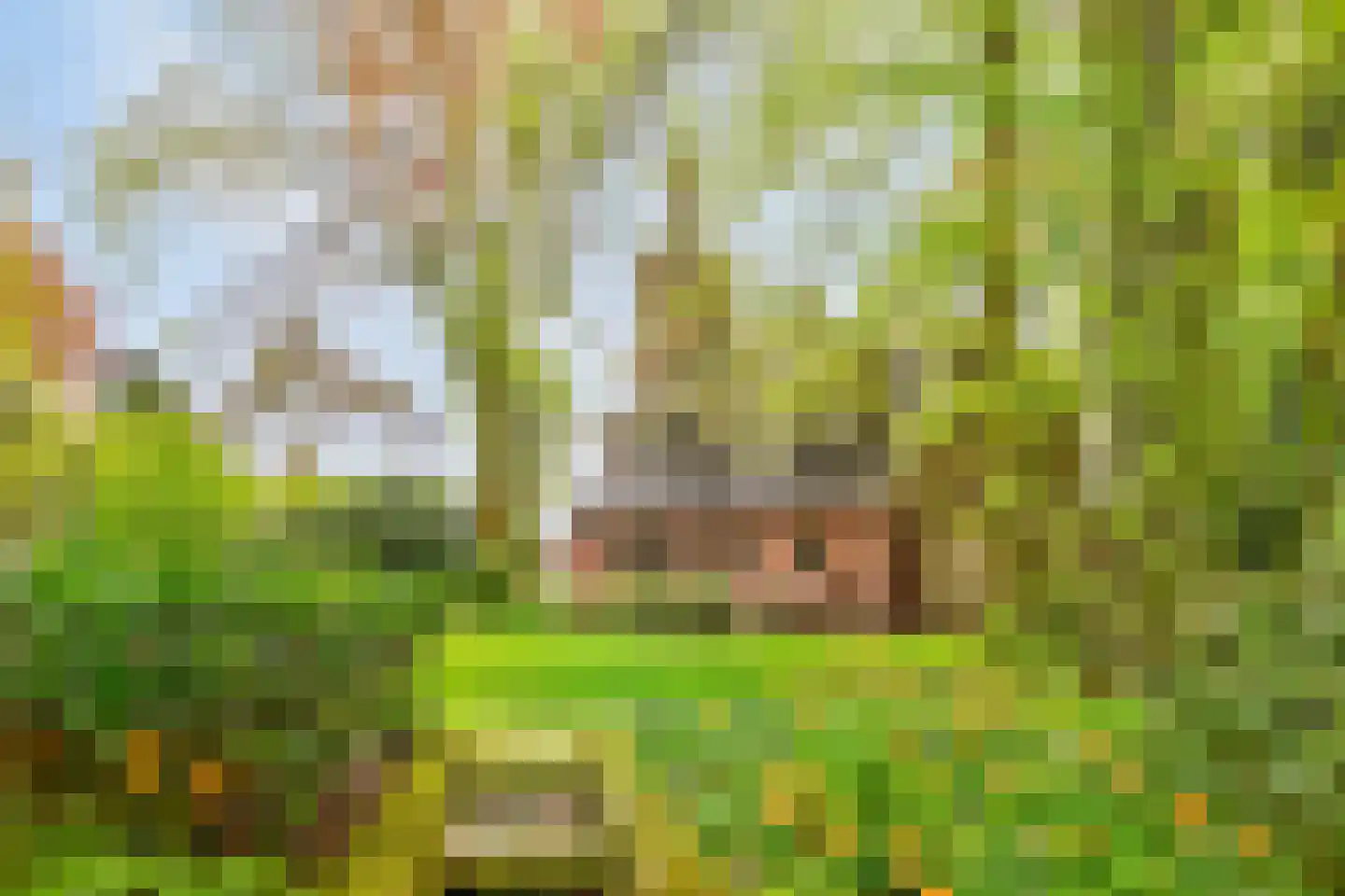 Menthedalaan 5 Middelstum thumbnail 37